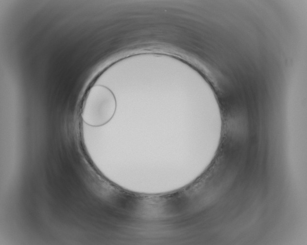 X0000110901514200906180935