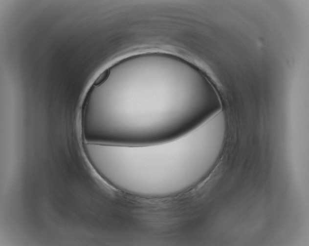 X0000110901516200906180935