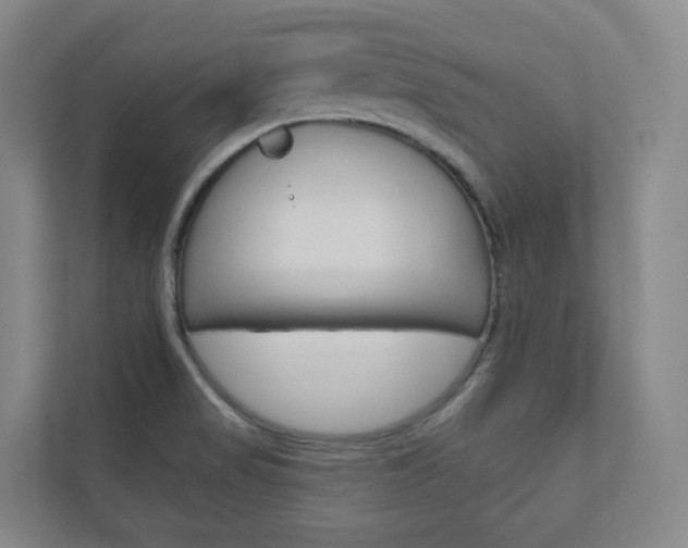 X0000110901517200906180935