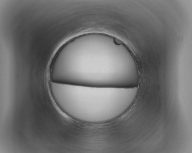 X0000110901519200906180935