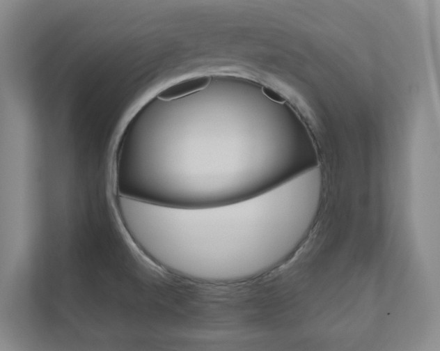 X0000110901520200906180936