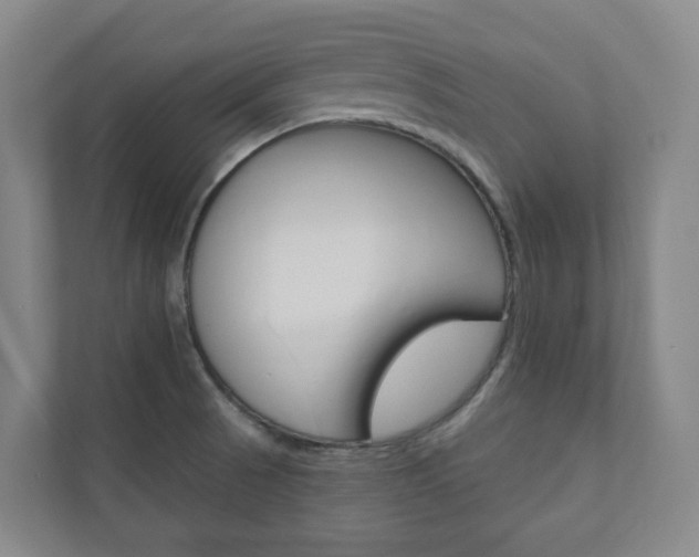 X0000110901521200906180936