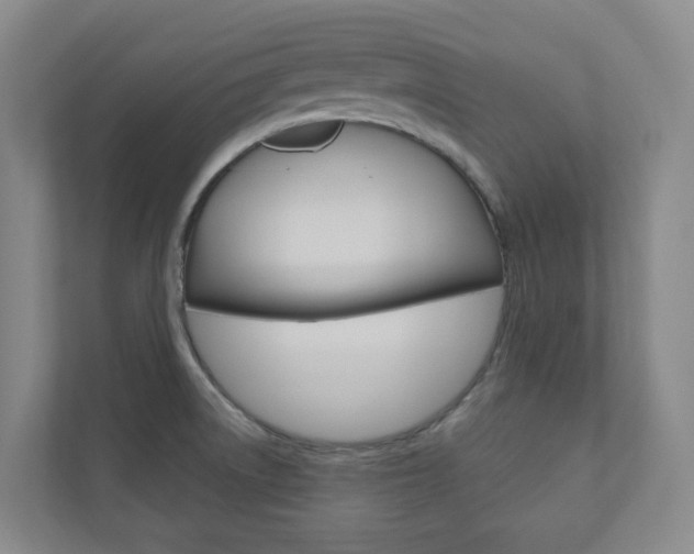 X0000110901522200906180936