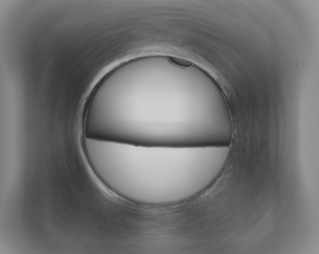 X0000110901523200906180936