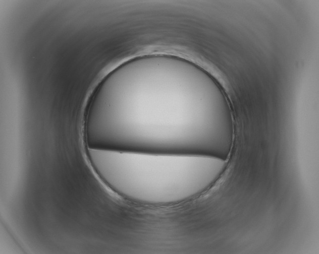 X0000110901525200906180936