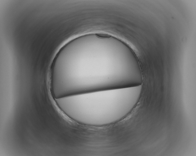 X0000110901526200906180936
