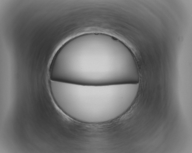 X0000110901527200906180936