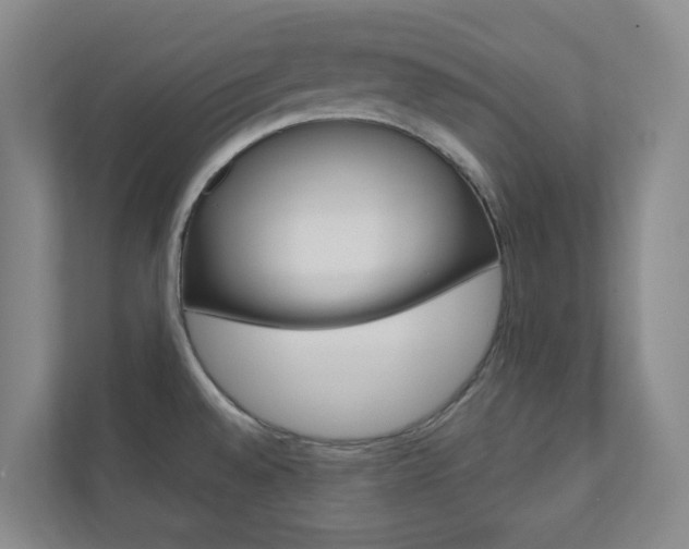 X0000110901528200906180936