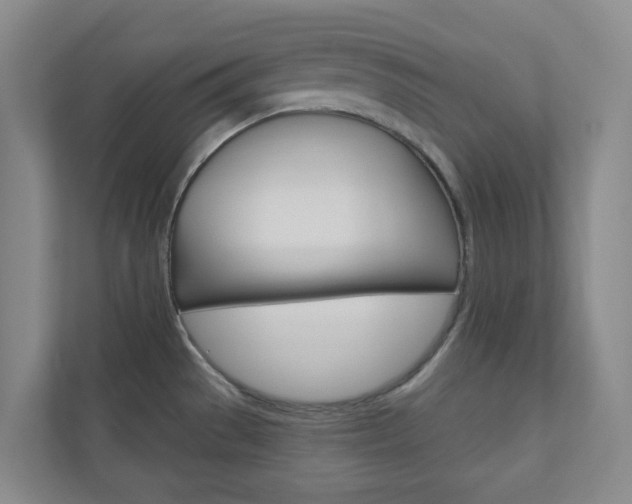 X0000110901529200906180936