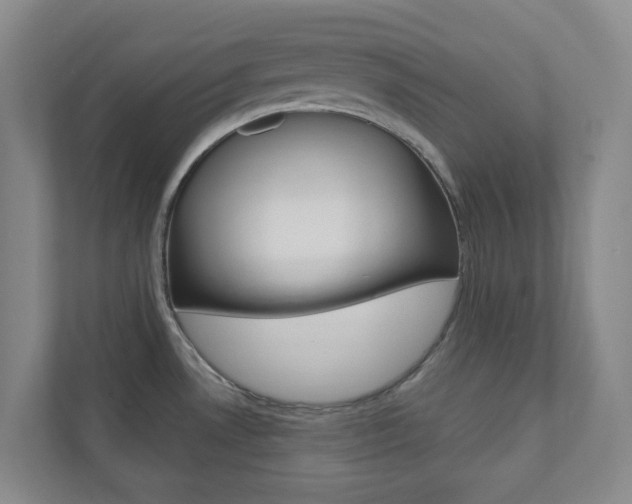 X0000110901530200906180936