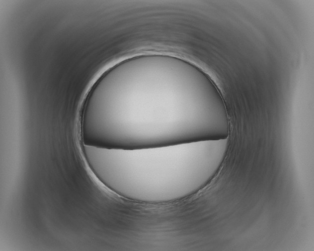 X0000110901531200906180936