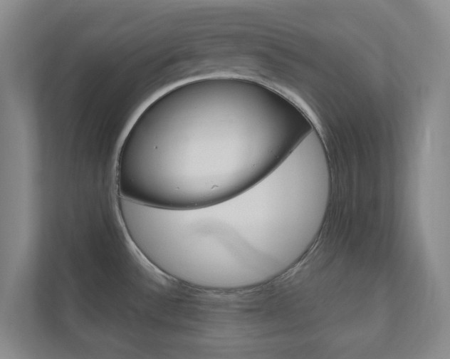 X0000110901532200906180936