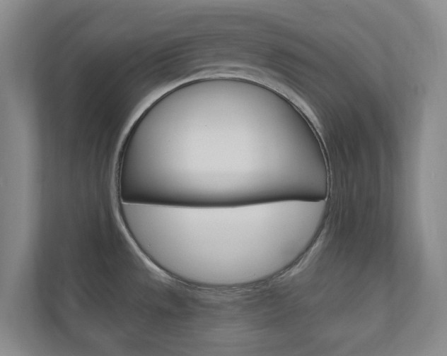 X0000110901533200906180936