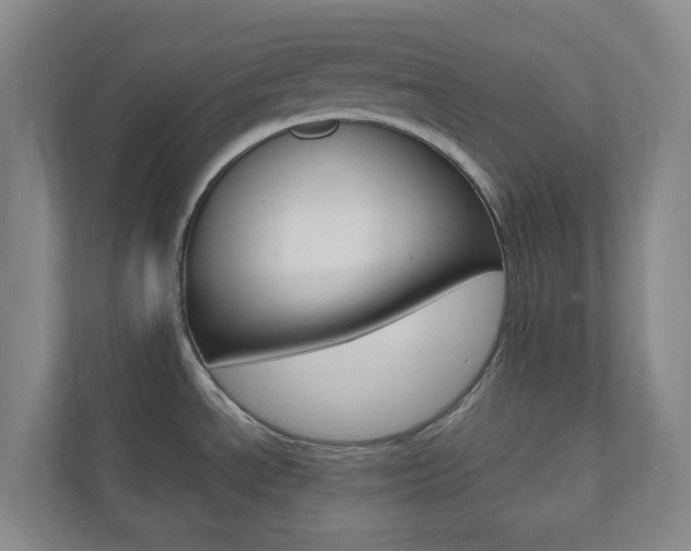 X0000110901534200906180936