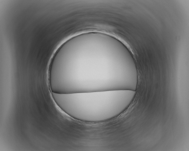 X0000110901535200906180936