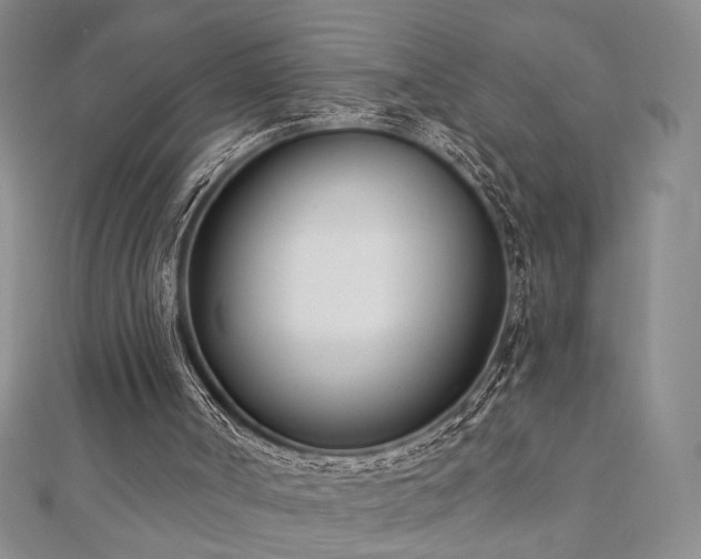 X0000110900002200906181332