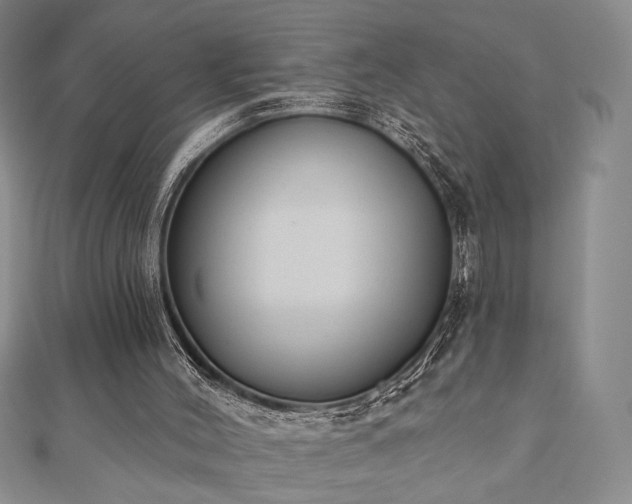 X0000110900004200906181332