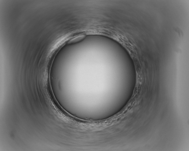 X0000110900005200906181332