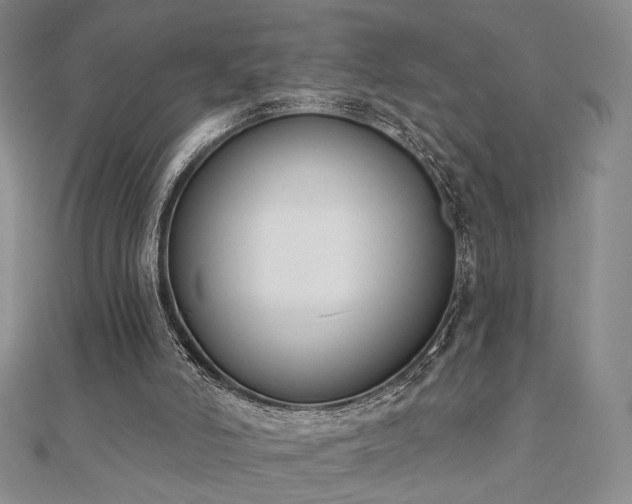 X0000110900006200906181332
