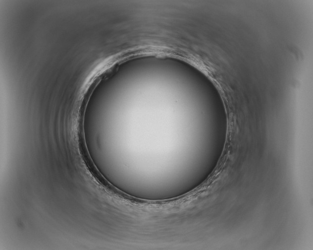 X0000110900007200906181332
