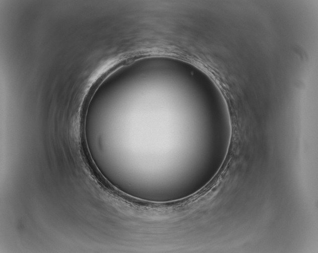 X0000110900008200906181332