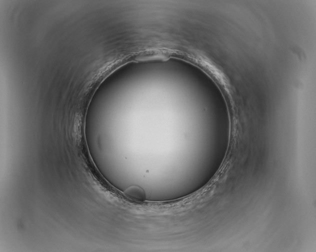 X0000110900009200906181332