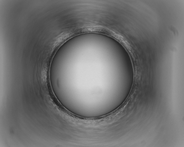 X0000110900010200906181332