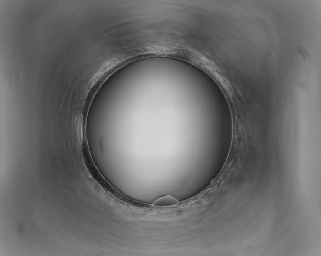 X0000110900011200906181332