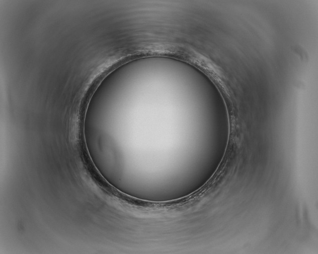 X0000110900012200906181332