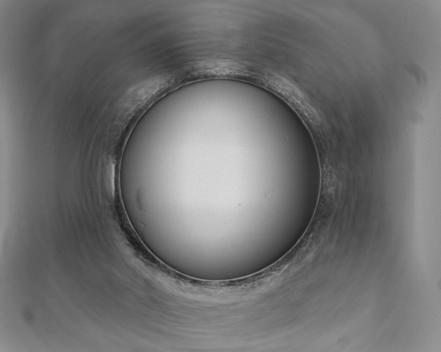 X0000110900014200906181332