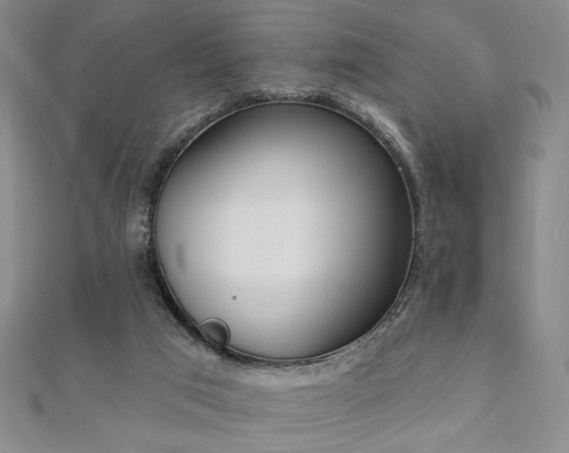 X0000110900017200906181332