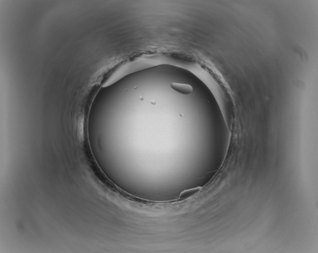 X0000110900019200906181332