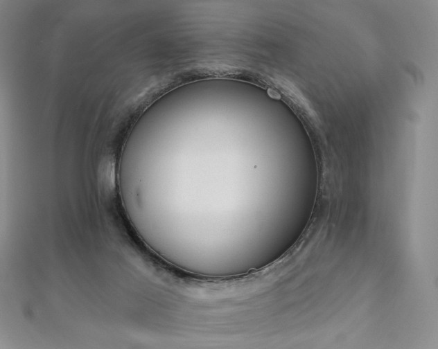X0000110900021200906181332