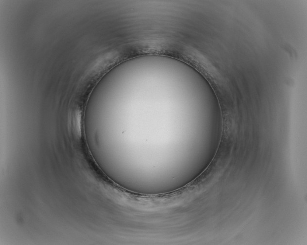 X0000110900022200906181332
