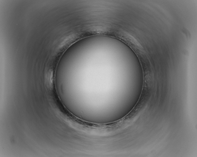 X0000110900024200906181332