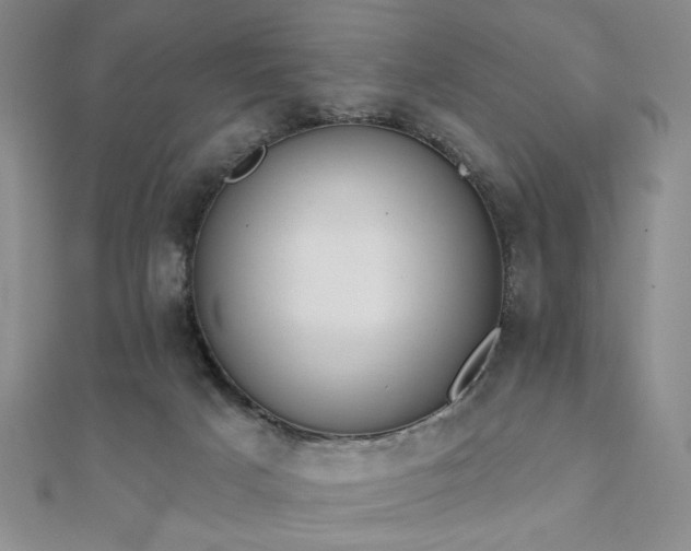 X0000110900025200906181332