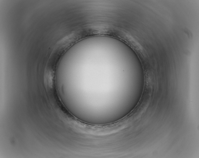 X0000110900026200906181332