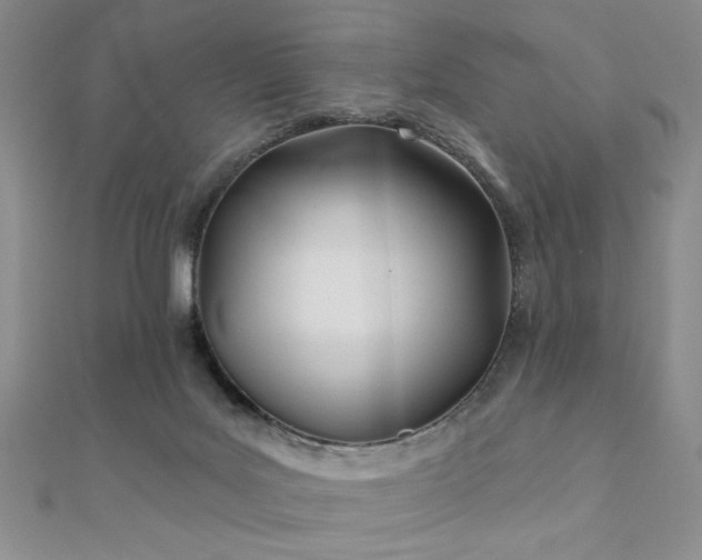 X0000110900027200906181332