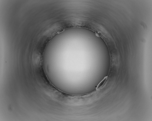 X0000110900029200906181331