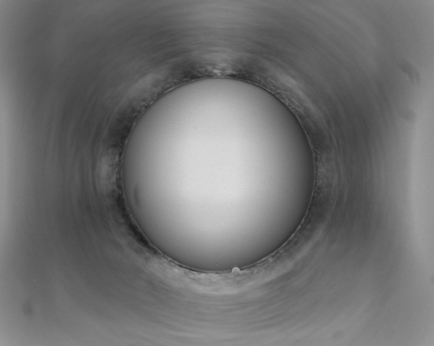X0000110900030200906181331