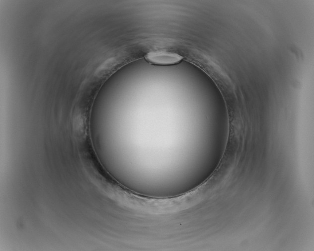 X0000110900031200906181331