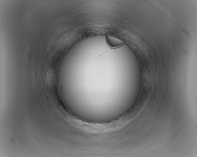 X0000110900034200906181331