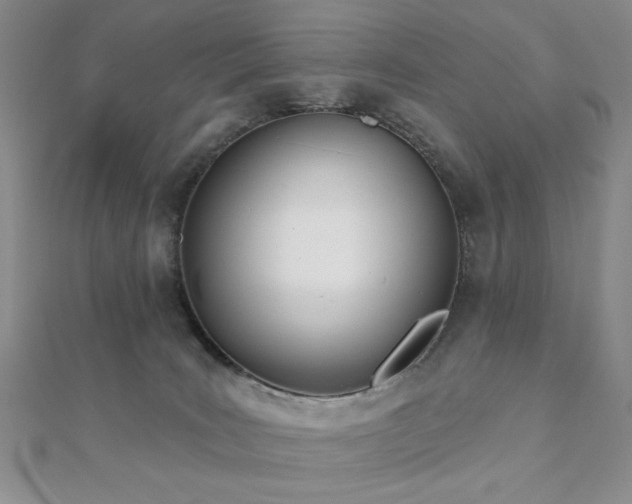 X0000110900035200906181331