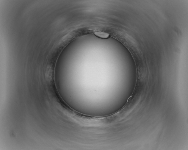 X0000110900036200906181331