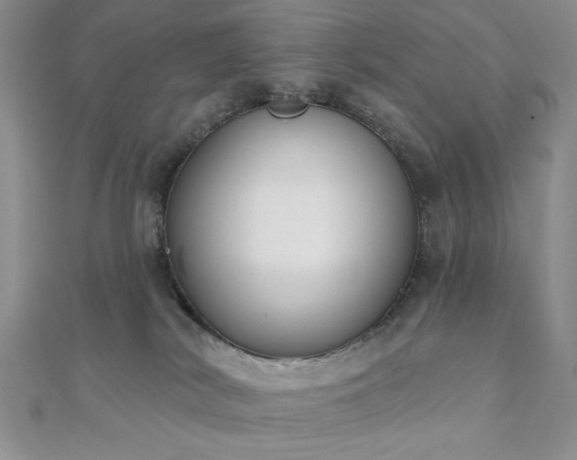 X0000110900038200906181331
