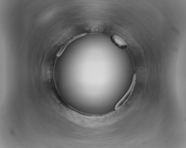 X0000110900039200906181331