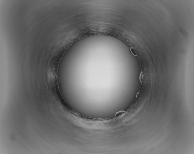 X0000110900040200906181331
