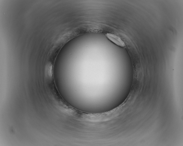 X0000110900041200906181331
