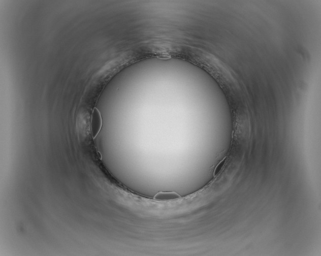 X0000110900043200906181331