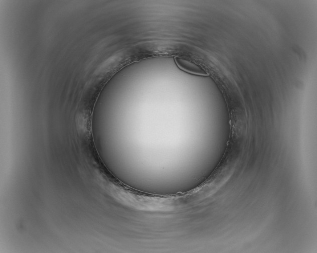 X0000110900044200906181331